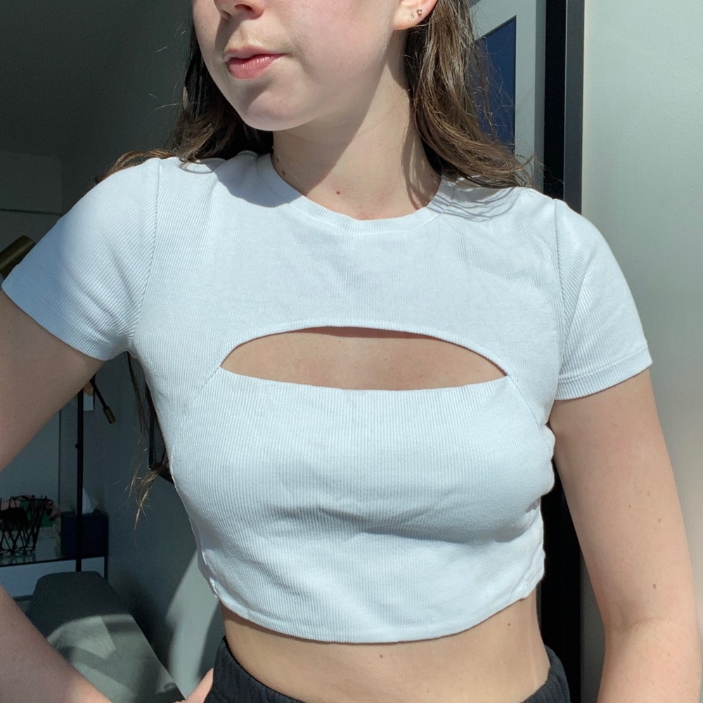 Zara crop top